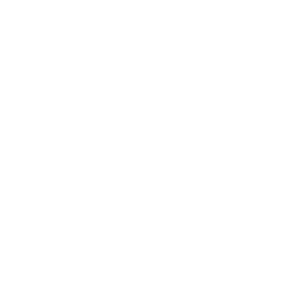 pdf icon